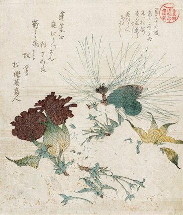 photo33.jpg