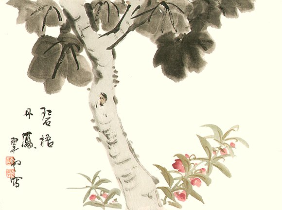 photo26.jpg