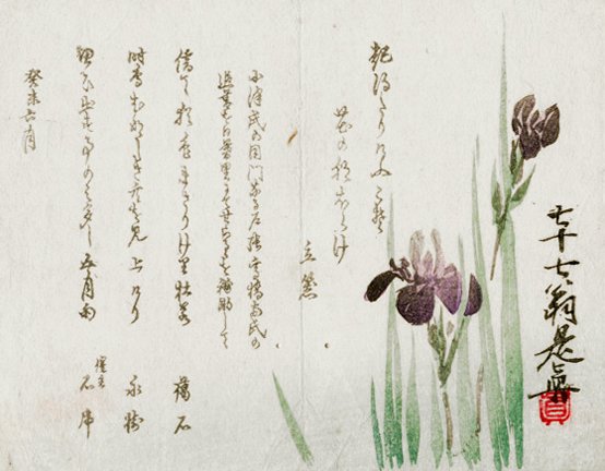 photo19.jpg