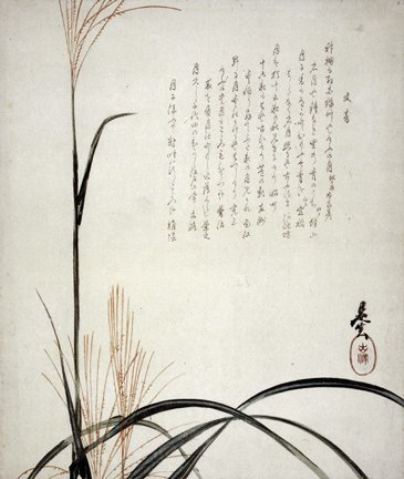 photo22.jpg