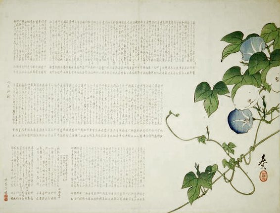 photo24.jpg