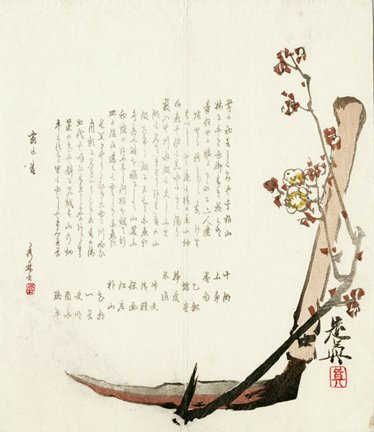 photo27.jpg