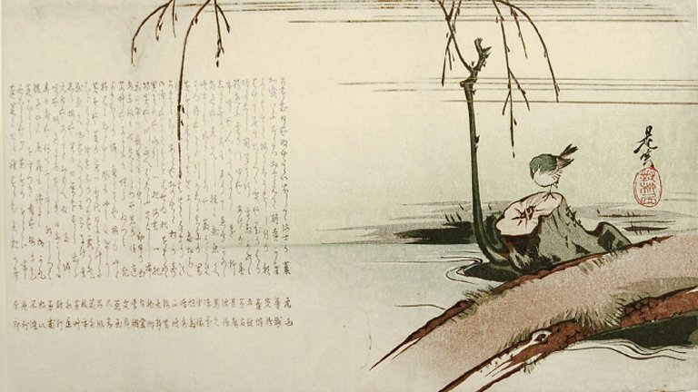 photo8.jpg