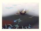 photo39_small.jpg