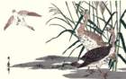 photo78_small.jpg