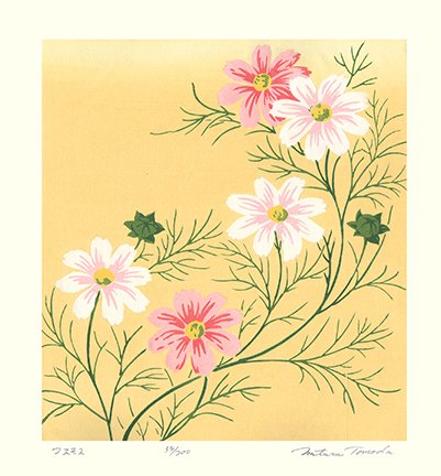 photo25.jpg