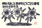 photo29_small.jpg
