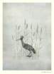 photo25_small.jpg