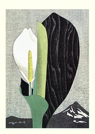 photo35.jpg
