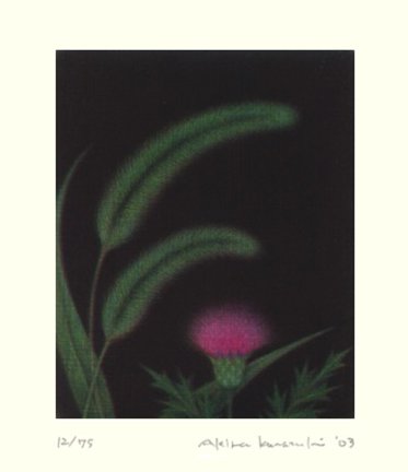 photo9.jpg