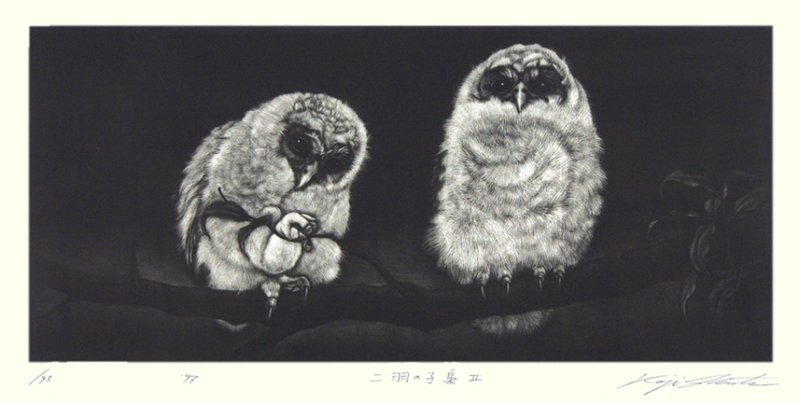 photo50.jpg