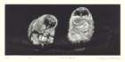 photo50_small.jpg