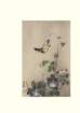 photo60_small.jpg
