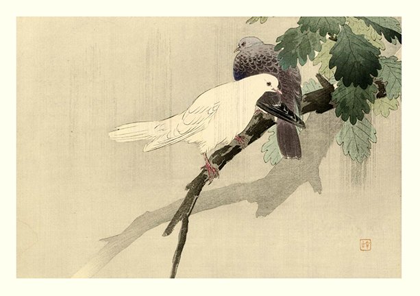 photo3.jpg