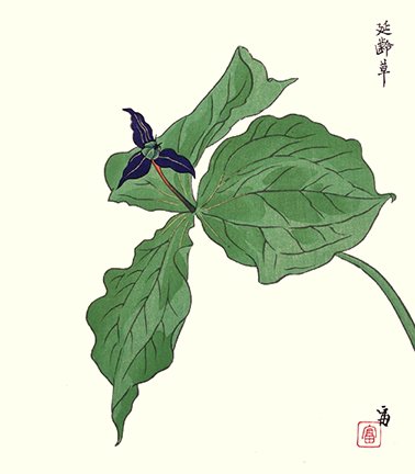 photo40.jpg