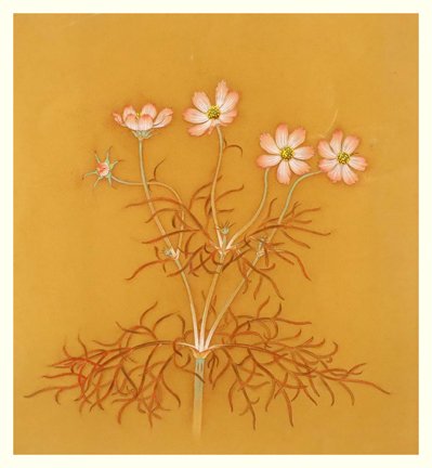 photo10.jpg
