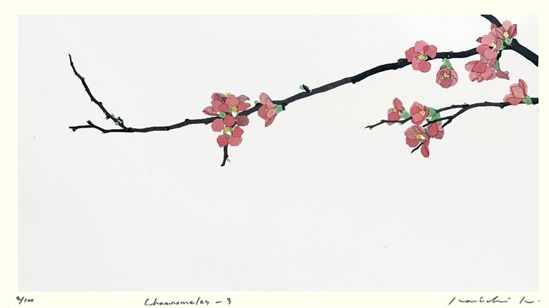 photo36.jpg