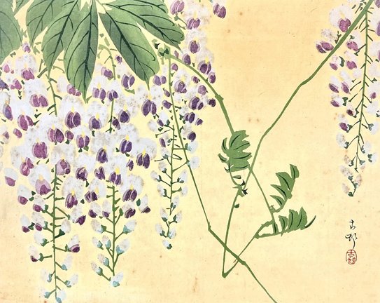 photo40.jpg