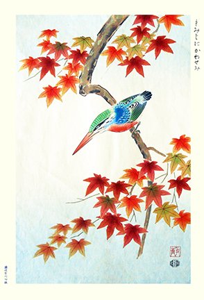 photo19.jpg