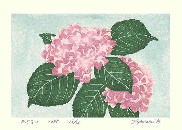 photo21.jpg