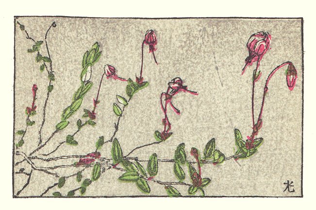 photo16.jpg
