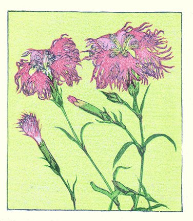 photo29.jpg