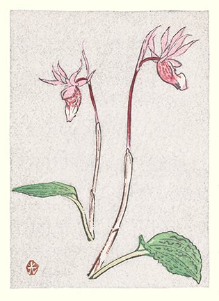 photo31.jpg
