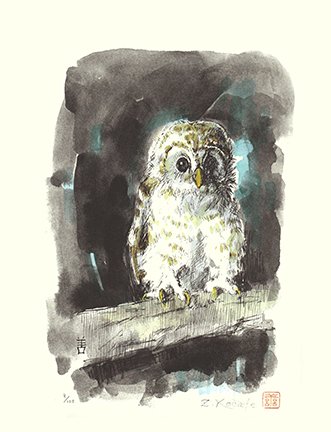 photo27.jpg