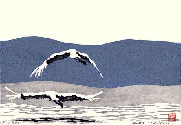 photo8.jpg