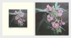 photo100_small.jpg
