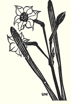 photo134.jpg