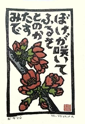 photo73.jpg