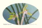 photo75_small.jpg