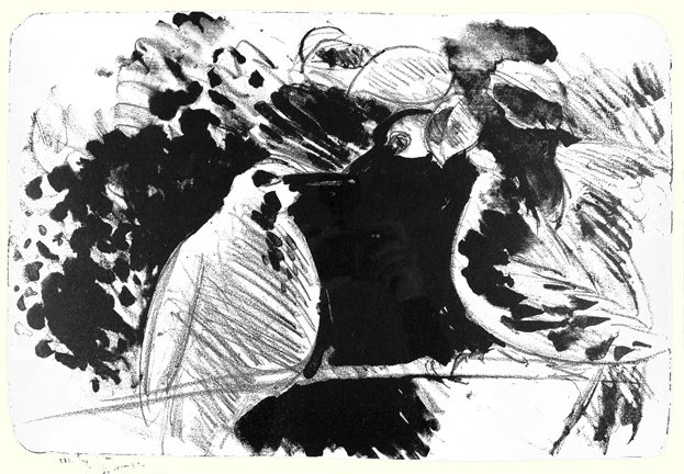 photo61.jpg