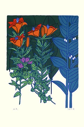 photo12.jpg