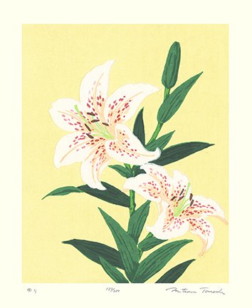 photo23.jpg