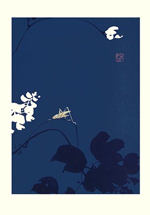 photo10.jpg
