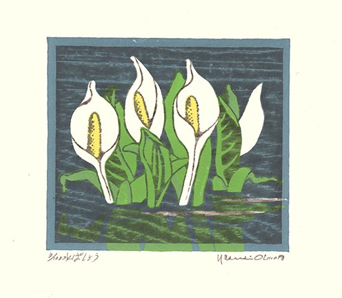 photo108.jpg