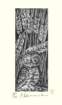 photo110_small.jpg