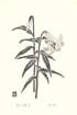 photo20_small.jpg