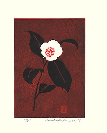 photo24.jpg