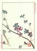 photo68_small.jpg