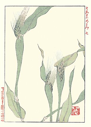photo71.jpg