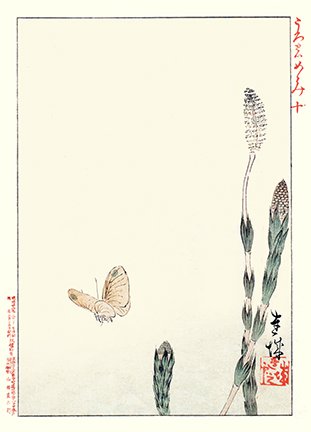photo72.jpg