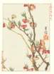 photo73_small.jpg