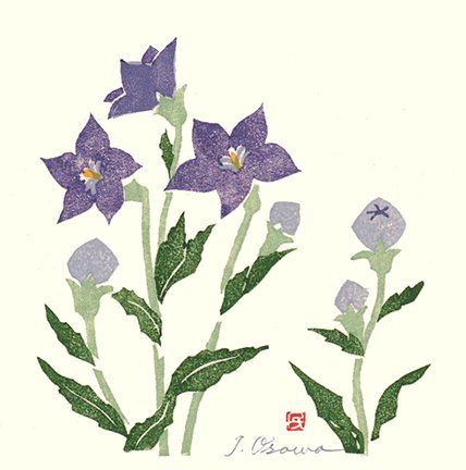 photo88.jpg