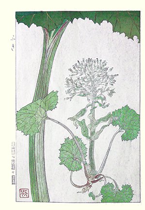 photo90.jpg