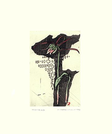 photo33.jpg