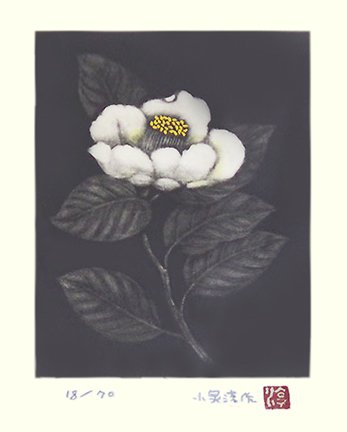 photo29.jpg