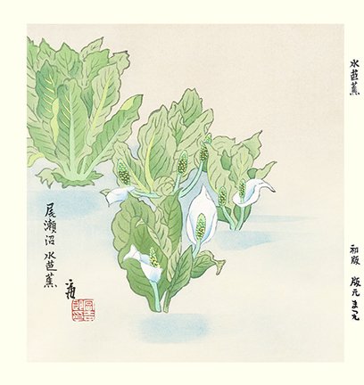 photo81.jpg